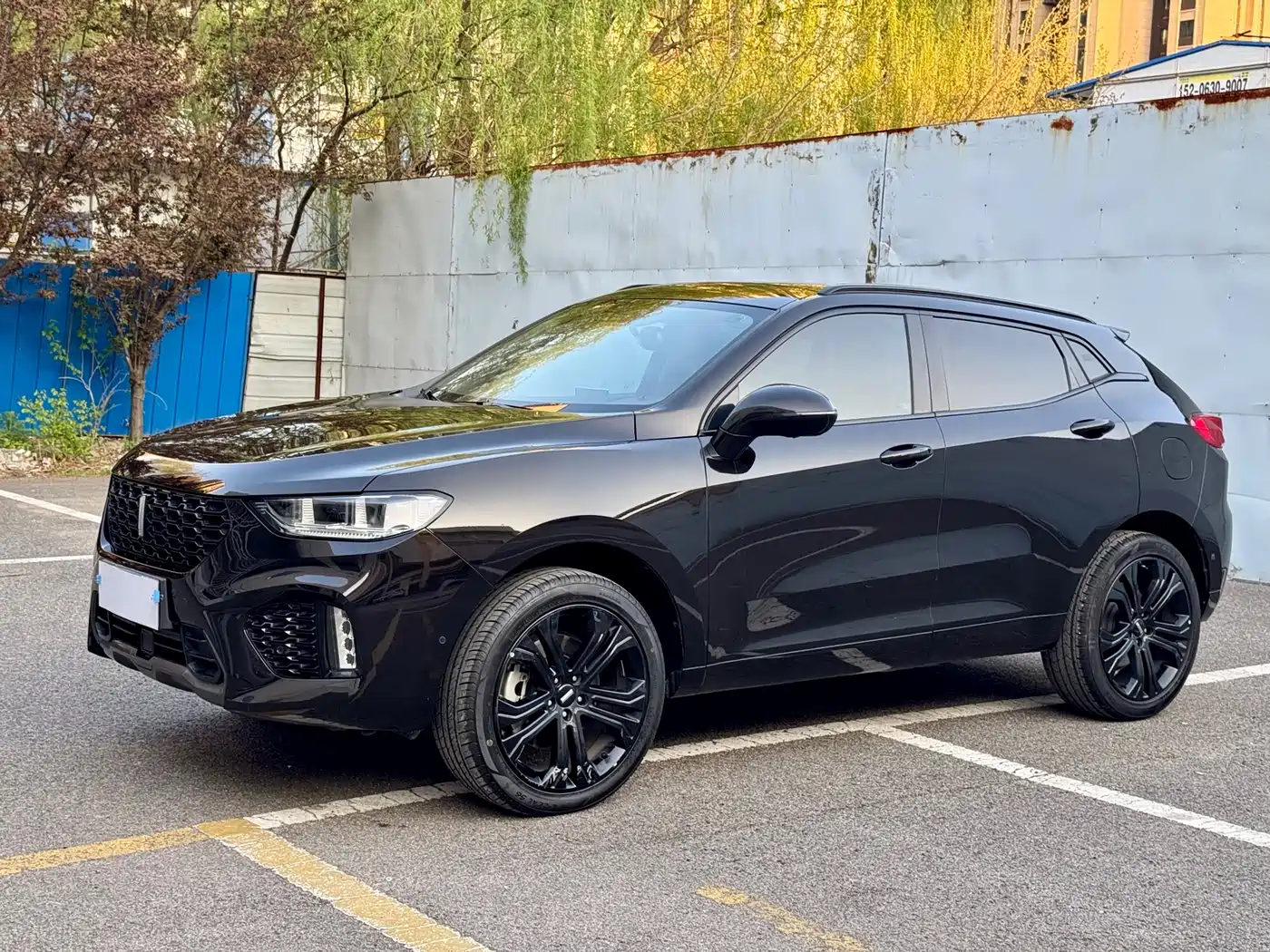 WEI PAI WEI BRAND VV5