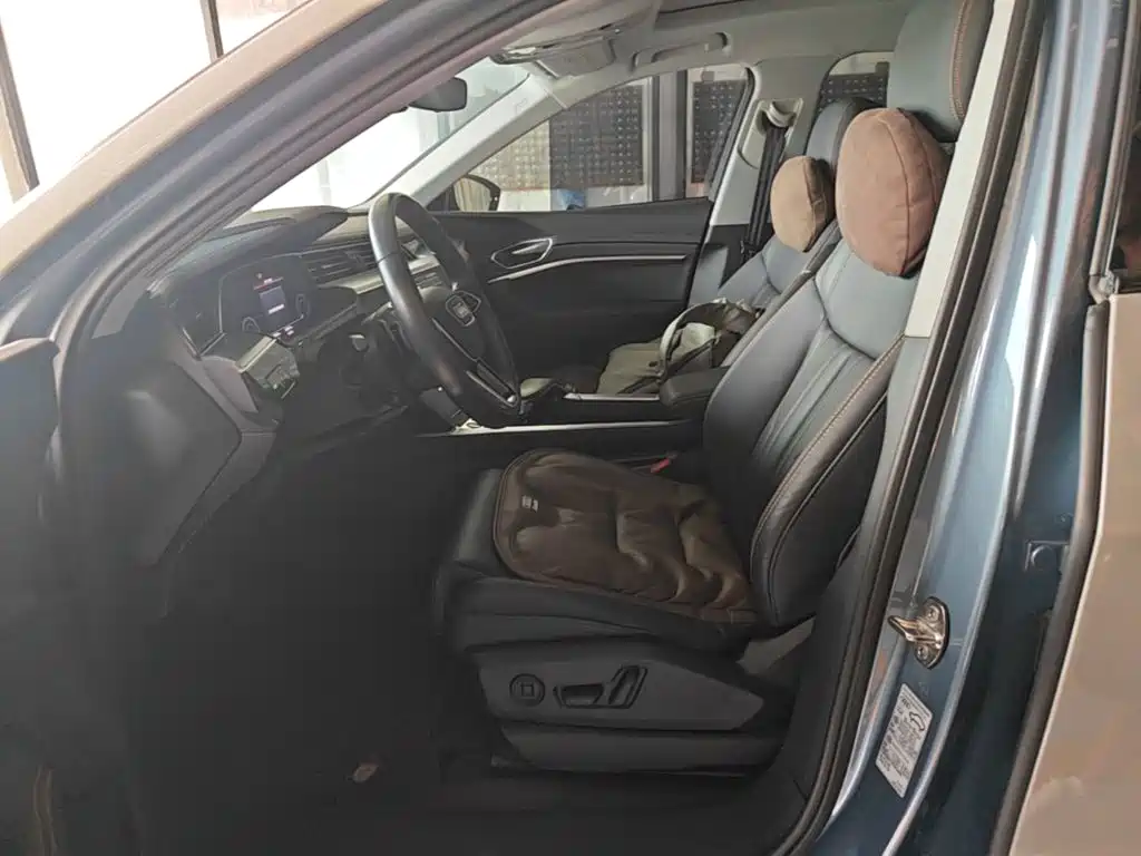 Audi e-tron 2023 2021 50 quattro Luxury