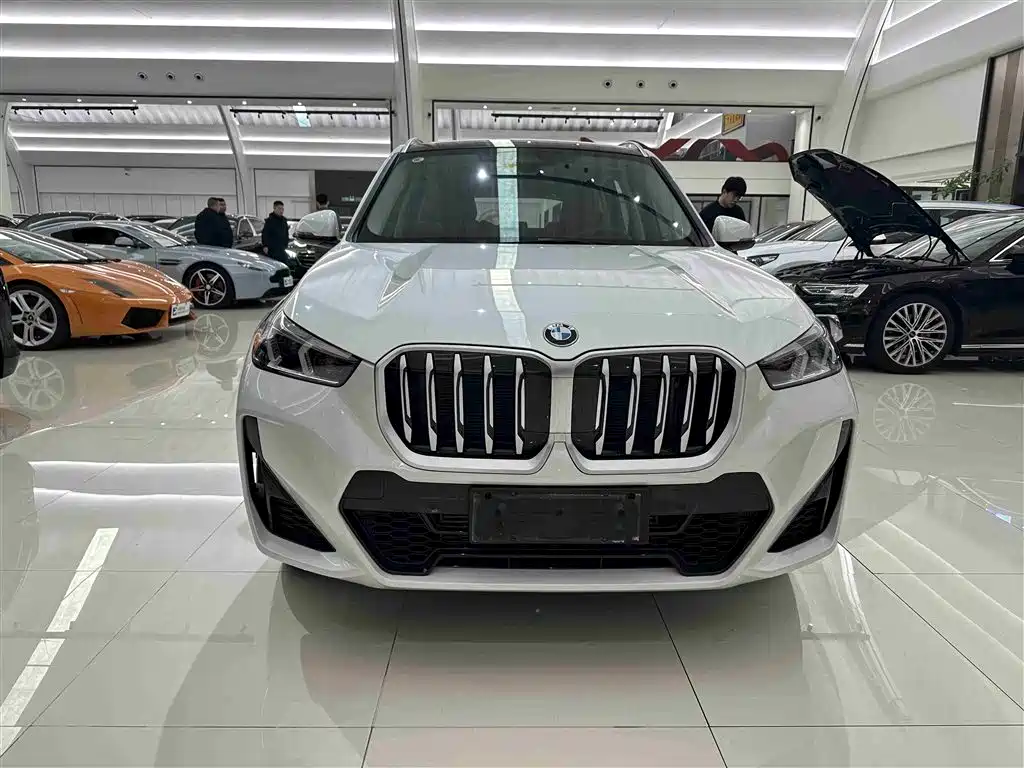 BMW X1 2023 sDrive25Li M Sport Package фото 2