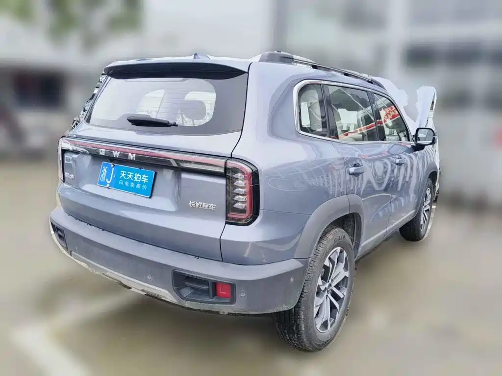 Фото 5 - Haval Dargo