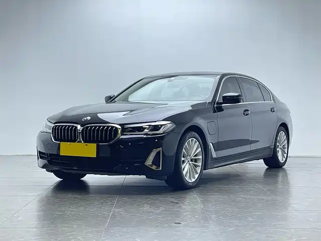 BMW 5 Series 535Le, Люкс-пакет