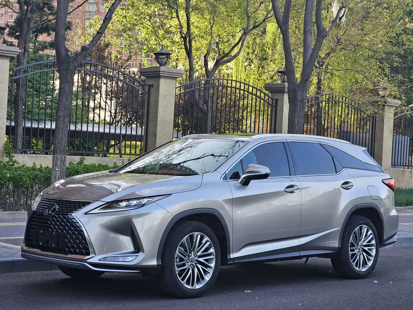 LEXUS RX