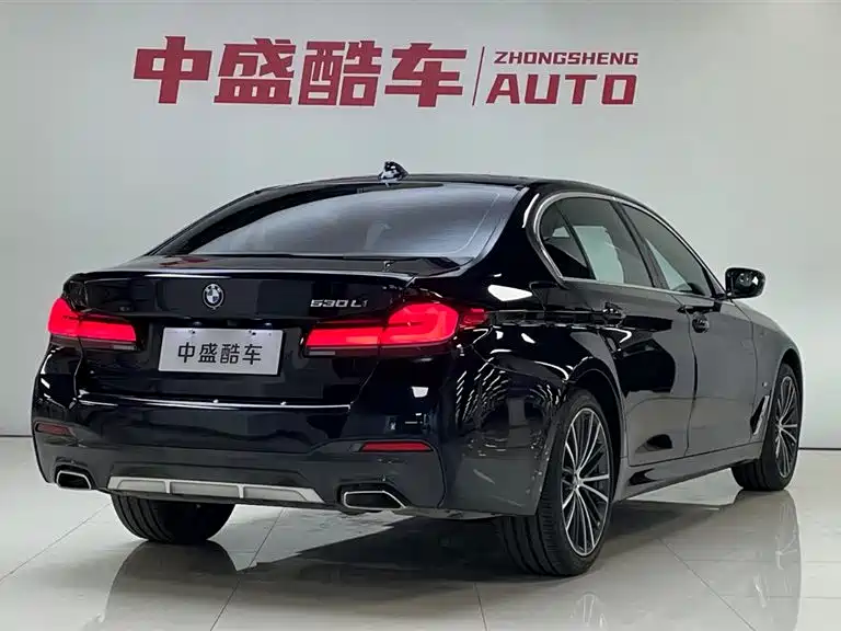 BMW 5 Series 2023 530Li Leading M Sport Package фото 8
