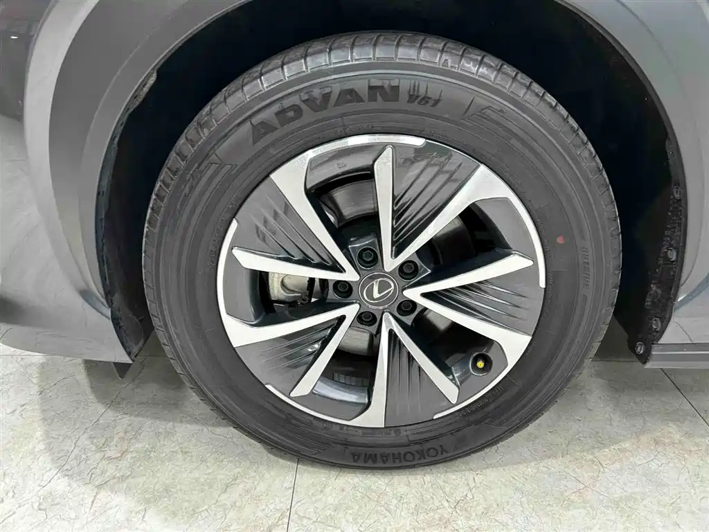 Lexus RZ 2023 450e 4WD Deluxe фото 20