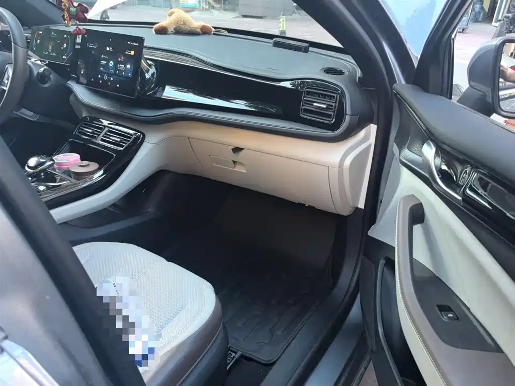 BYD Qin PLUS 2024 Glory Edition DM-i 55KM Leading фото 21