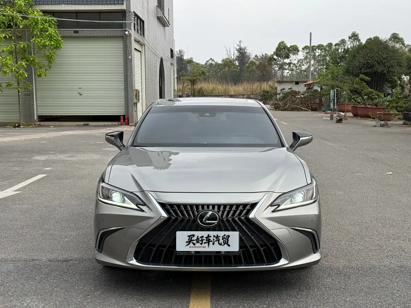 Lexus ES 2022 260 Excellence Edition фото 2