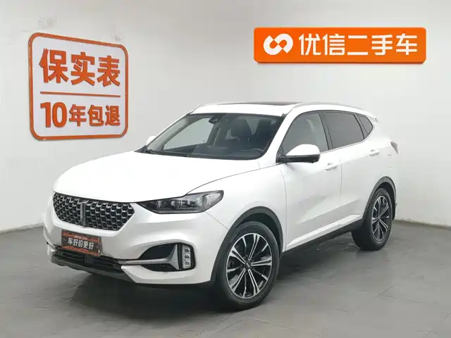 wei-pai wei-brand-vv6