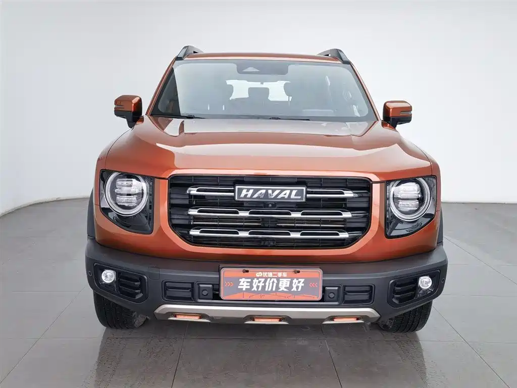 HAVAL BIG DOG