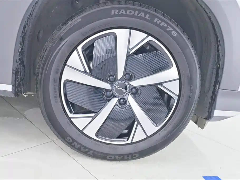 BYD Hai Shi 05 EV 2025 520KM Smart Navigation Edition фото 6