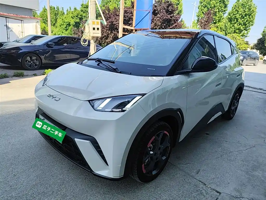 BYD Seagull 2024 Glory Edition 305km Freedom Edition фото 2