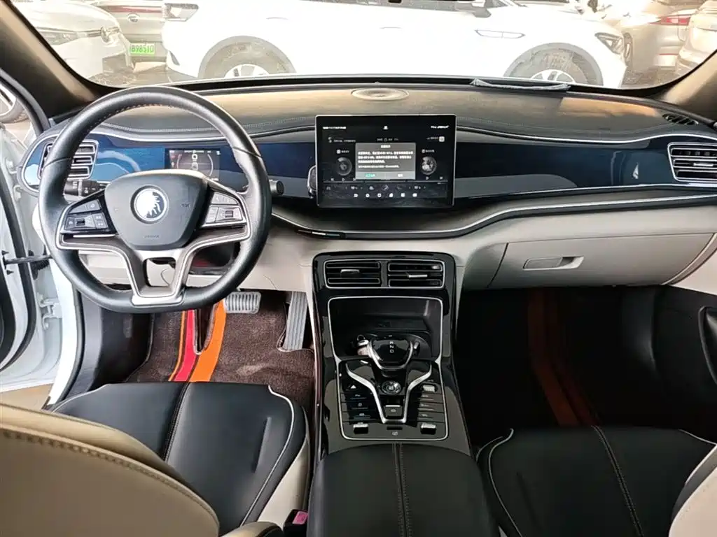 BYD Qin PLUS 2021 EV 500KM Luxury Model фото 10