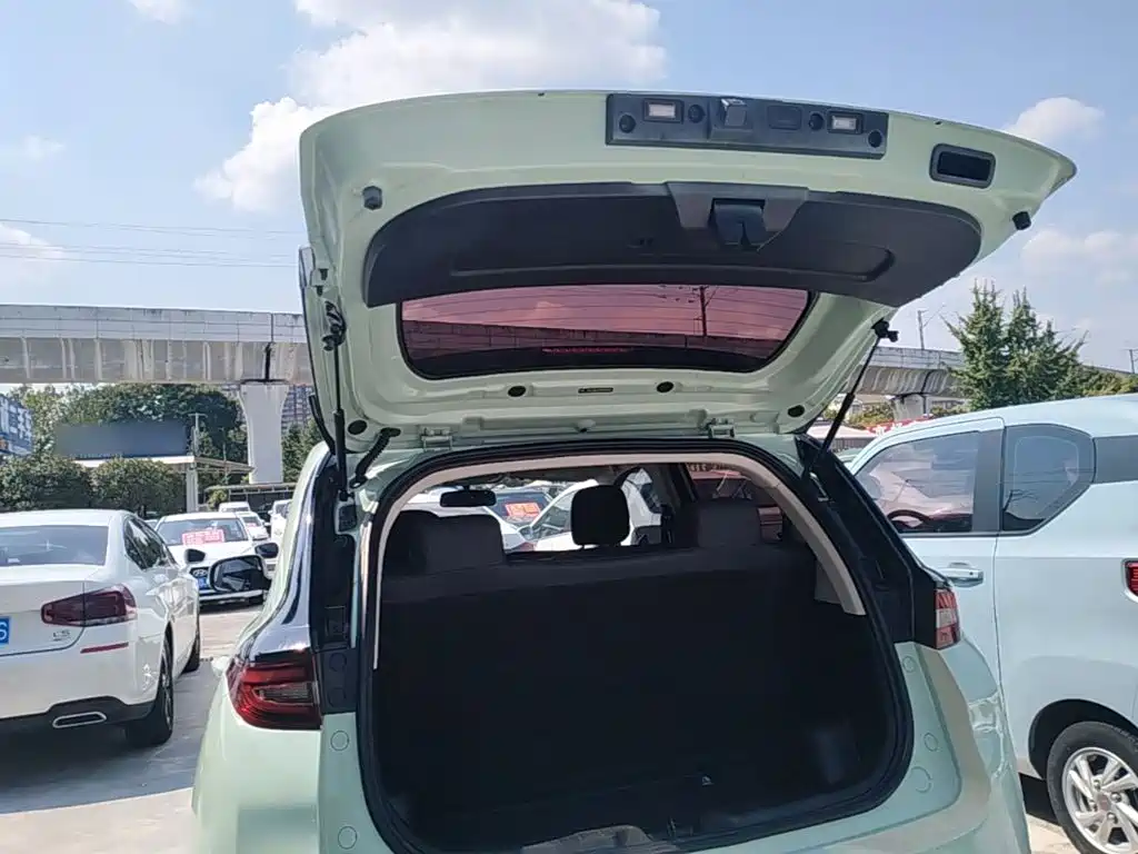 Dayun Yuehu 2022 2022 30.66kWh 2WD VIP Edition