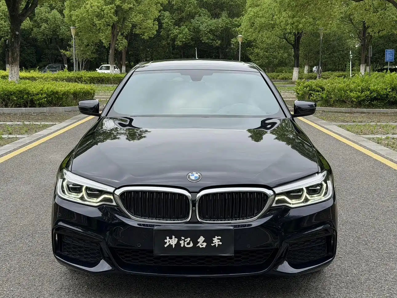 BMW 5 Series 2020 530Li Exclusive M Sport Package фото 2