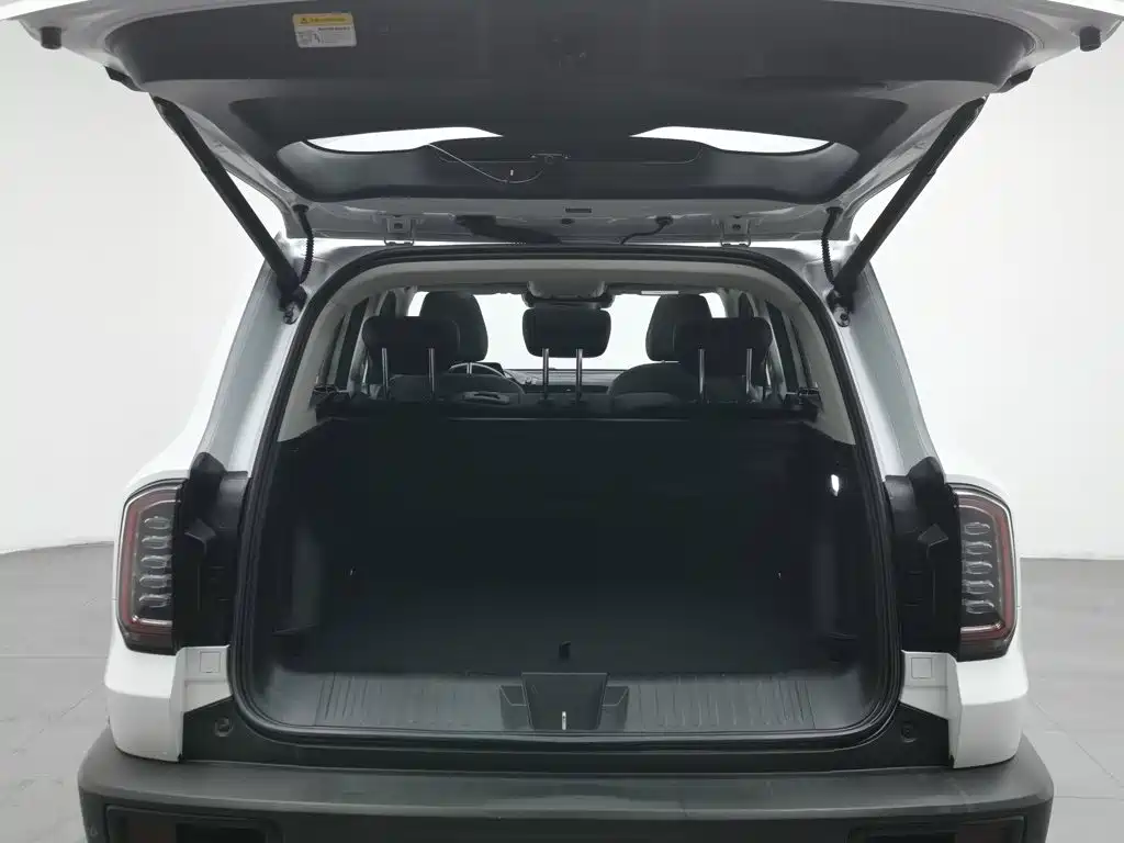 Haval Big Dog, миниатюра 16