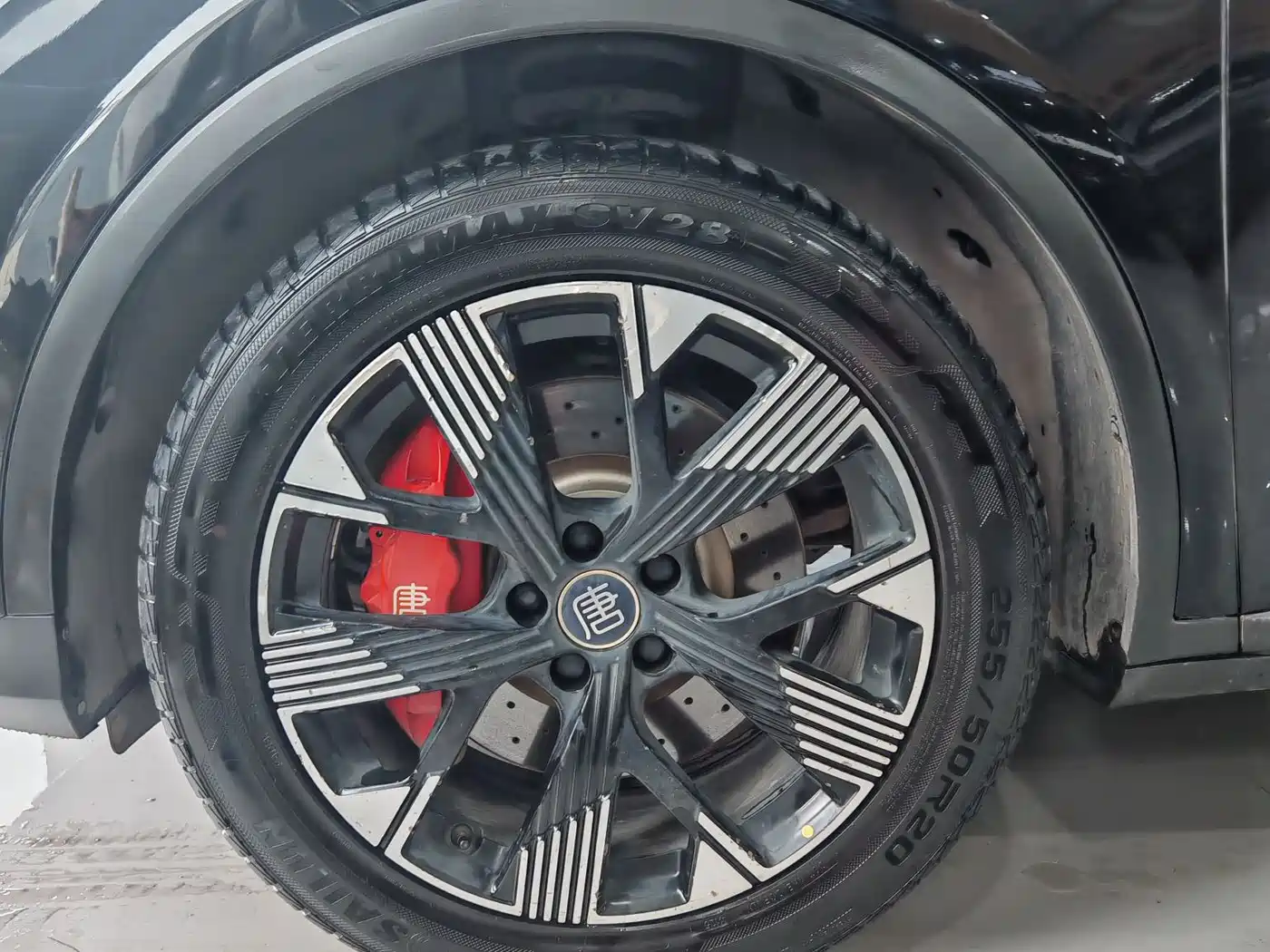 BYD Tang New Energy 2024 DM-p Champion Edition 215KM 4WD Premium фото 4