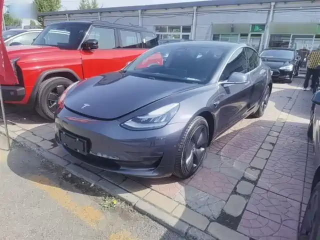 TESLA MODEL 3 2020