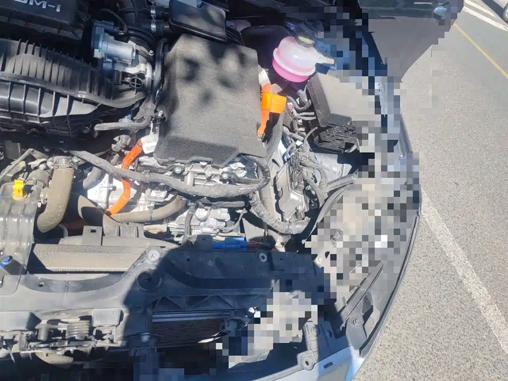 BYD Qin PLUS 2024 Glory Edition DM-i 55KM Leading фото 24