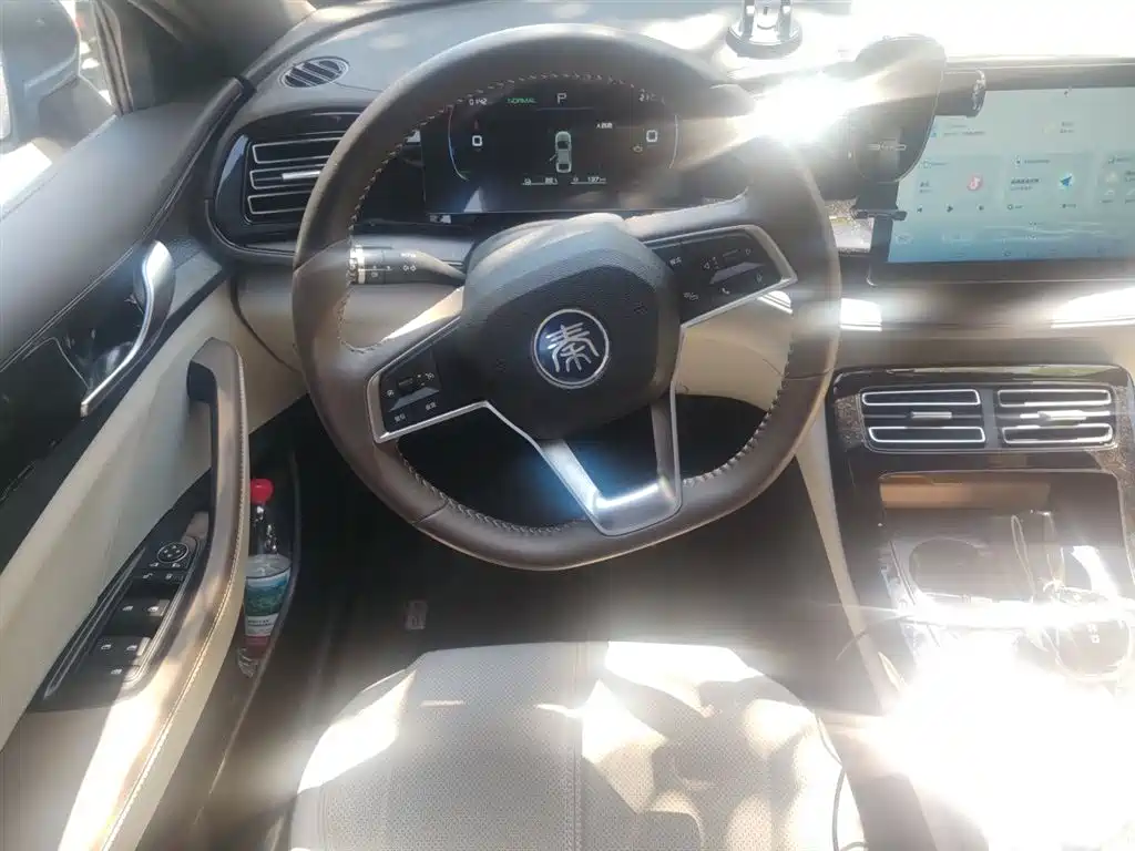 BYD Qin PLUS 2024 Glory Edition DM-i 55KM Leading фото 7