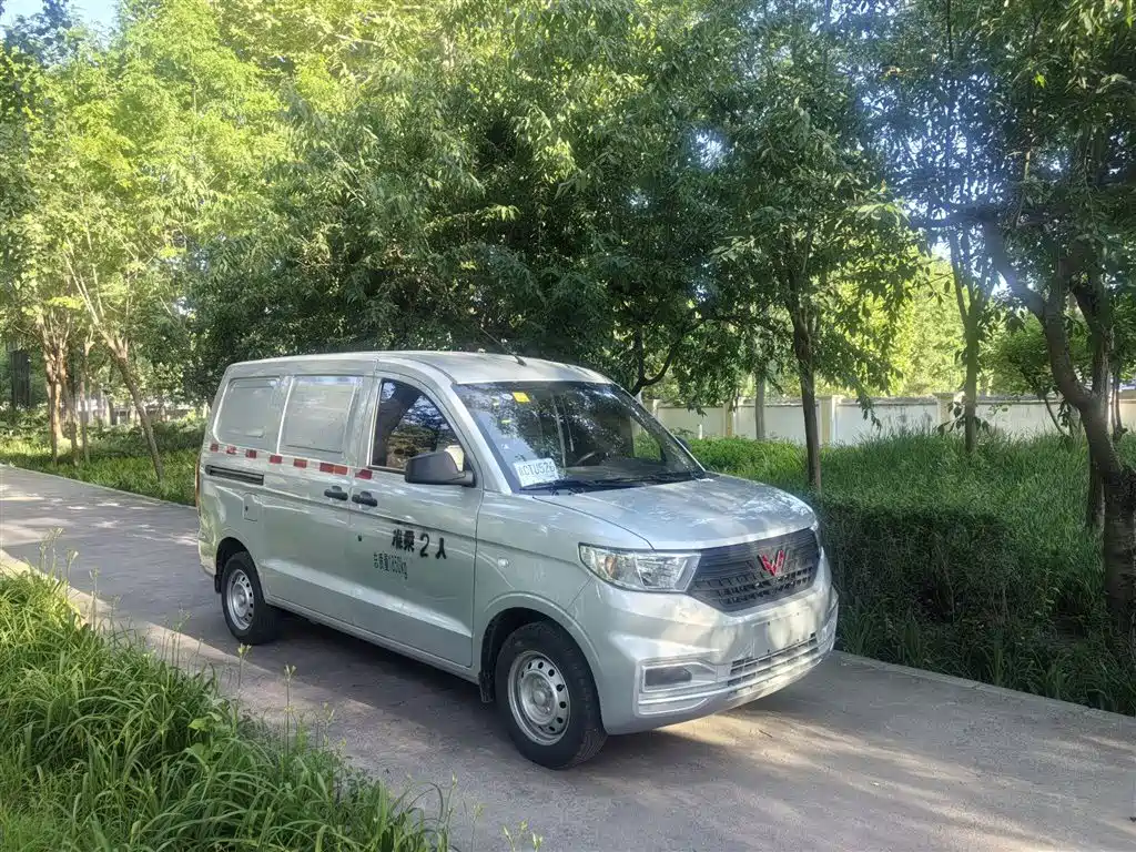 Wuling Motors Wuling Hongguang V 2025 2022 1.5L Dynamic Edition Windowless Van Hydraulic Power Steering LAR