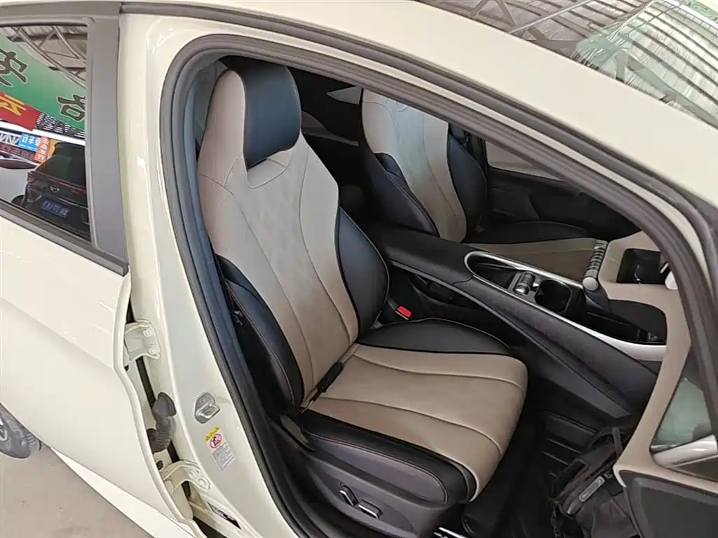 BYD Dolphin 2023 420km Fashion Edition фото 25