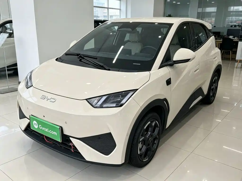 BYD Seagull 2025