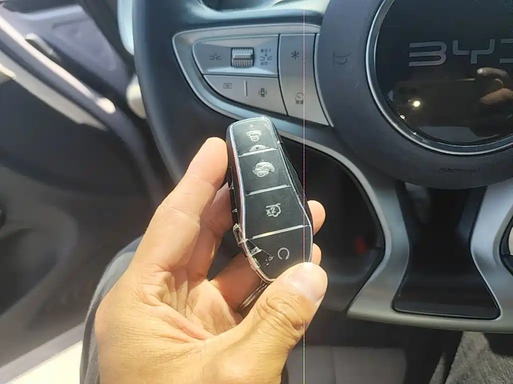 BYD Dolphin 2025 2025 Smart Drive Edition 520km Knight Version