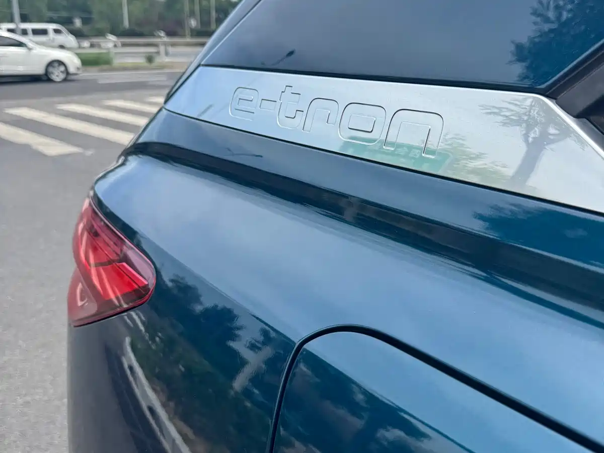 Audi Q5 e-tron 2022 40 e-tron Starlight Edition Brocade Package фото 22