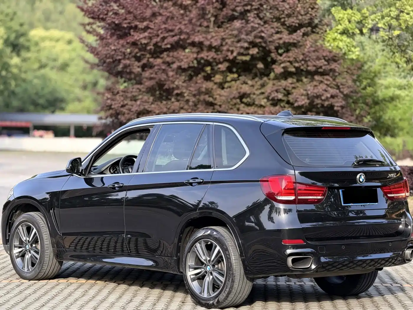 BMW X5 (Import) 2017 xDrive35i Elegance фото 2