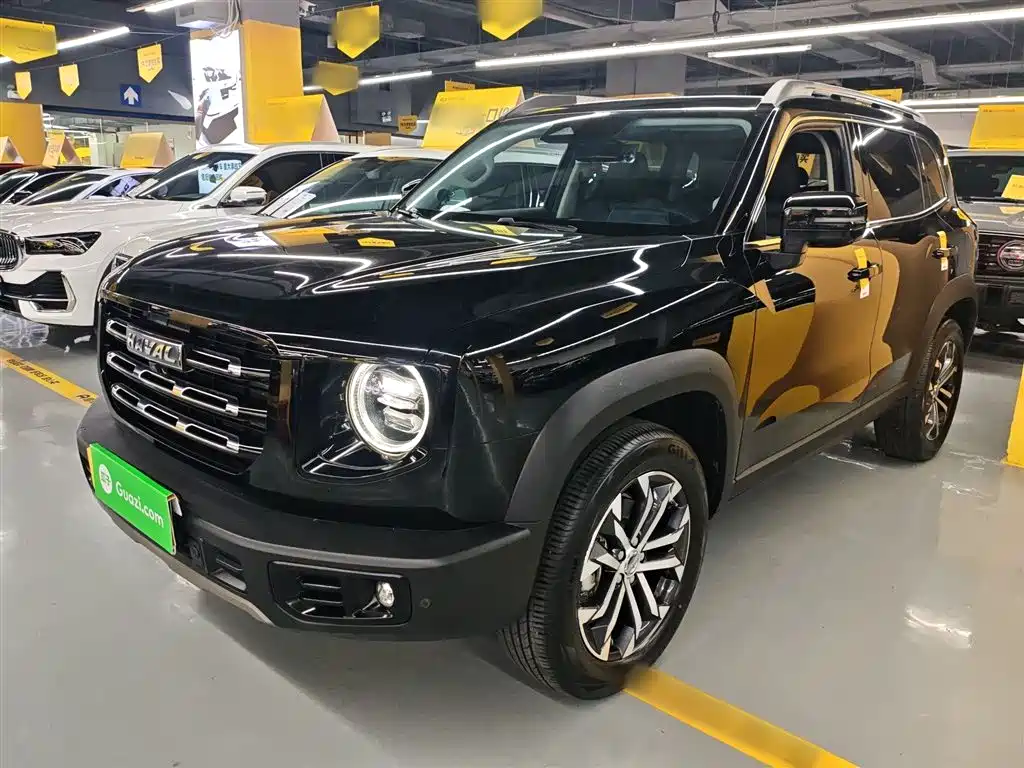 Haval Big Dog 2022 1.5T DCT FWD Border Collie Edition