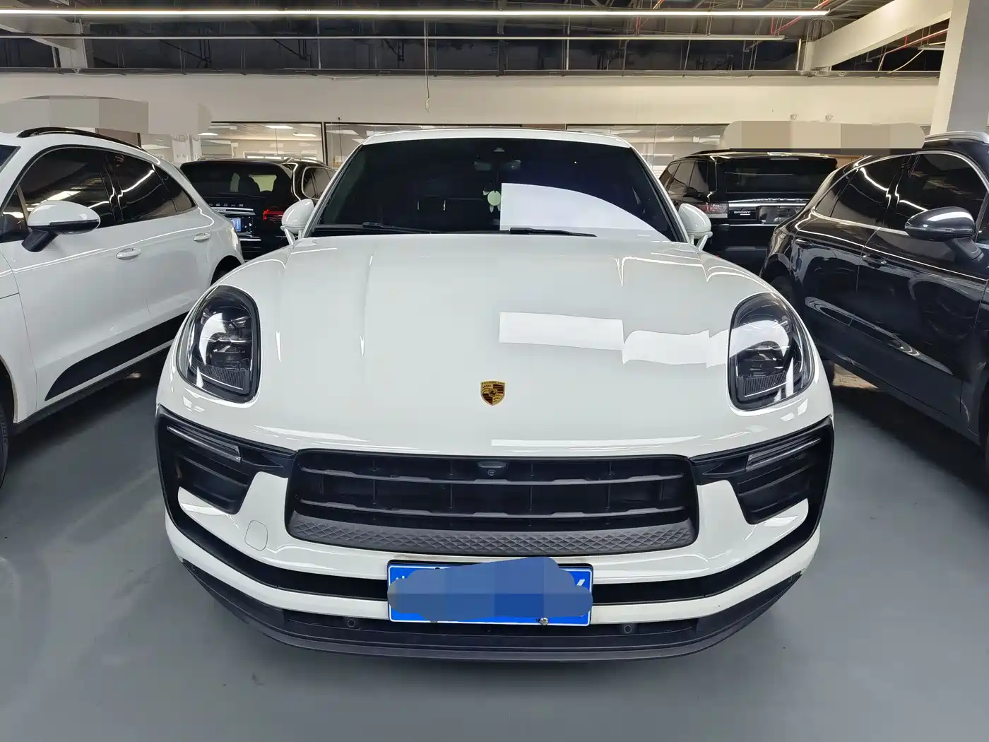 Porsche Macan 2022 Macan 2.0T фото 2