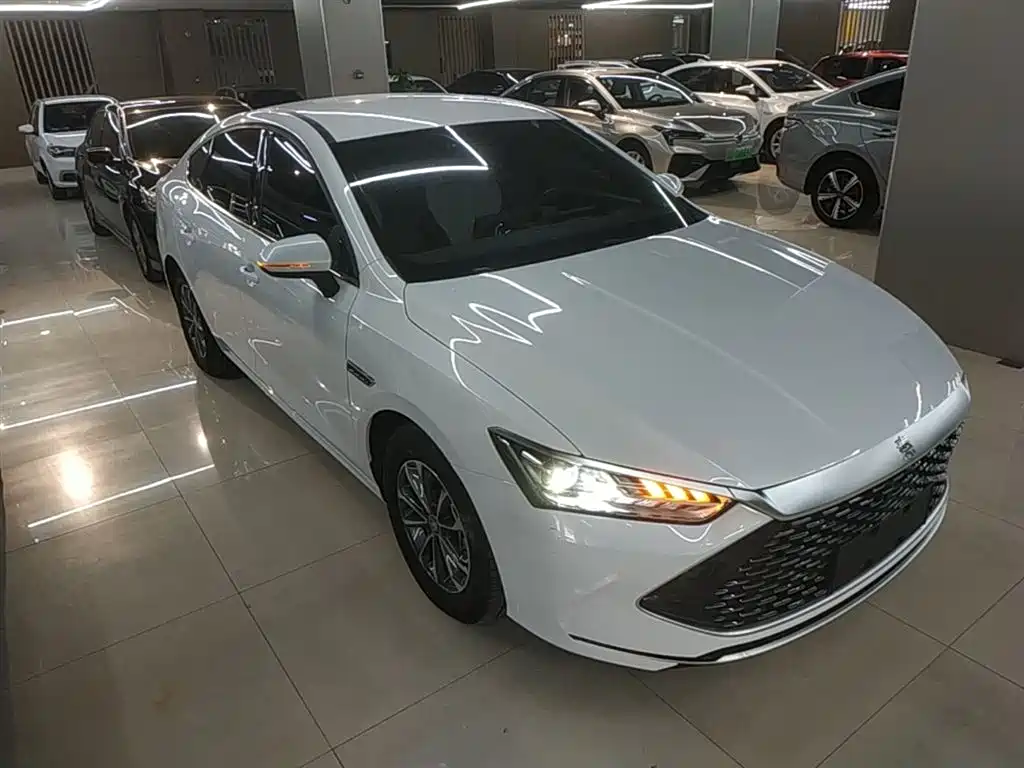 BYD Qin PLUS 2024 Glory Edition DM-i 55KM Leading фото 4