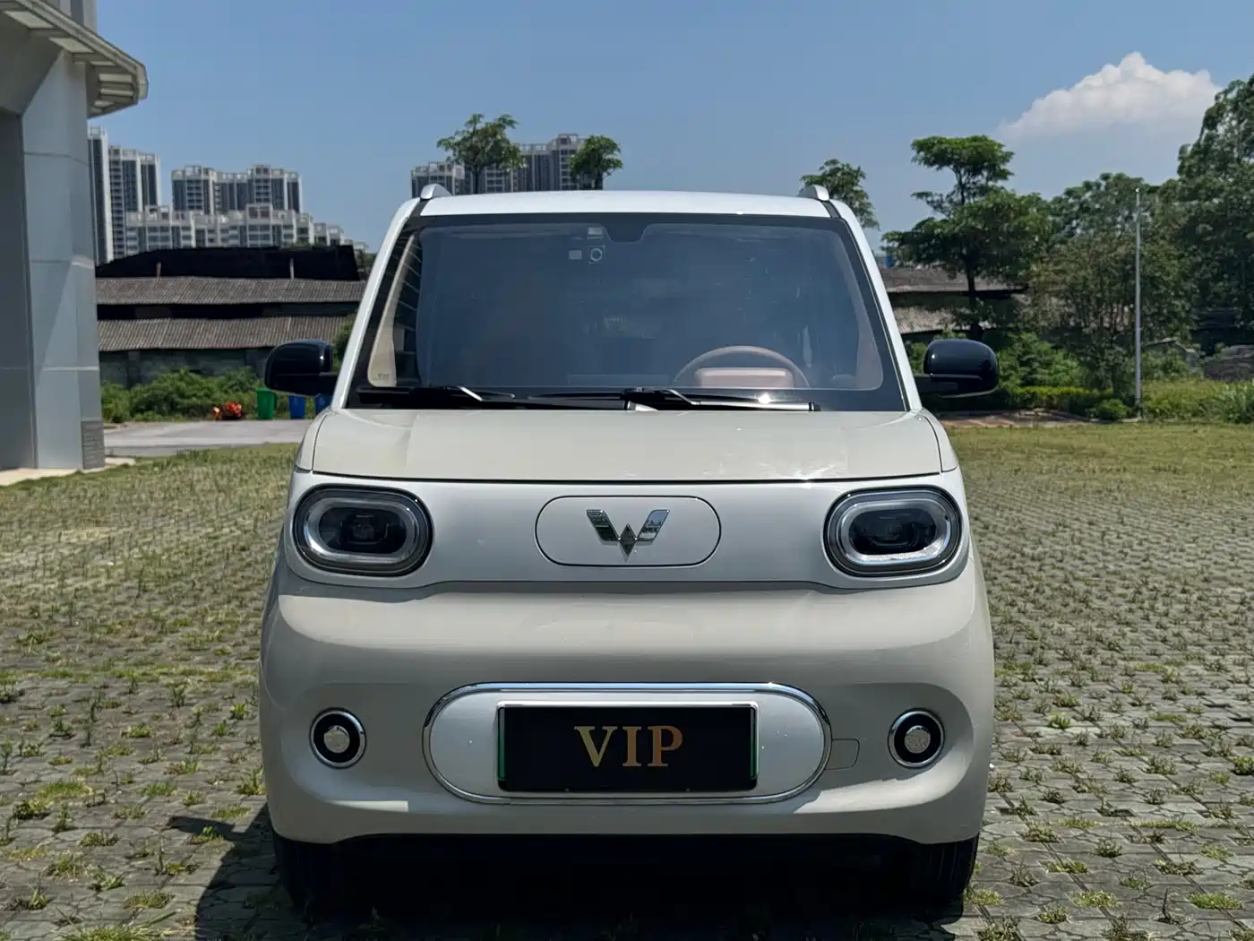 Фото 2 - Wuling Motors Hongguang MINIEV