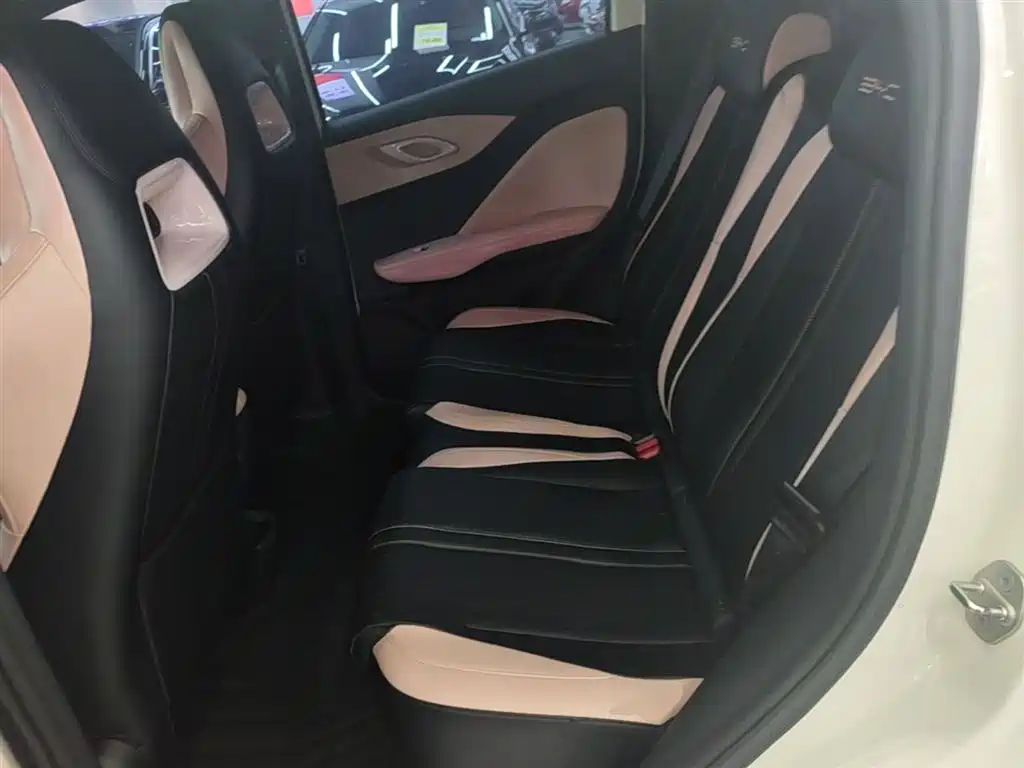 BYD Seagull 2023 Vitality Edition фото 17