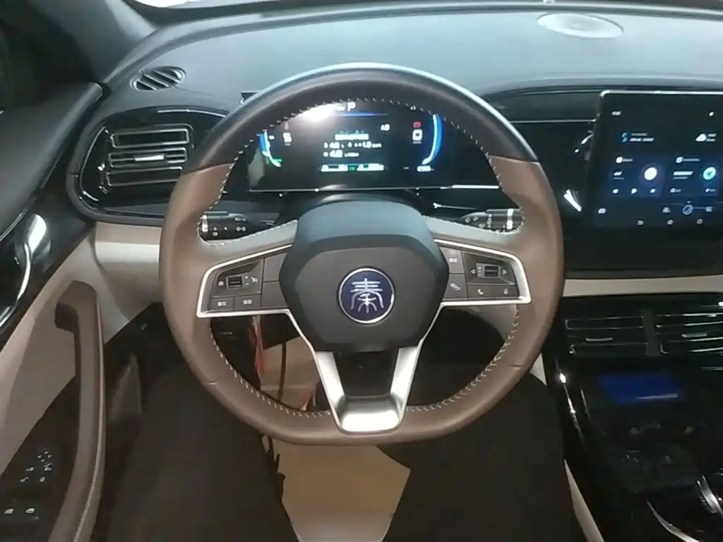 BYD Qin PLUS 2024 Glory Edition DM-i 55KM Leading фото 11