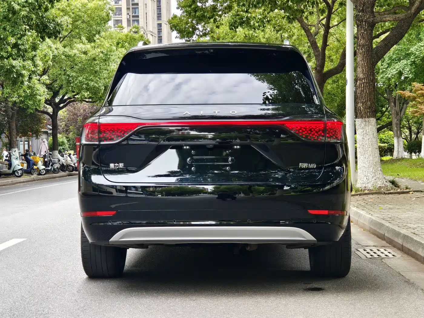 AITO Wenjie AITO M9 2024 Extended Range Ultra 42kWh 6-Seater фото 20
