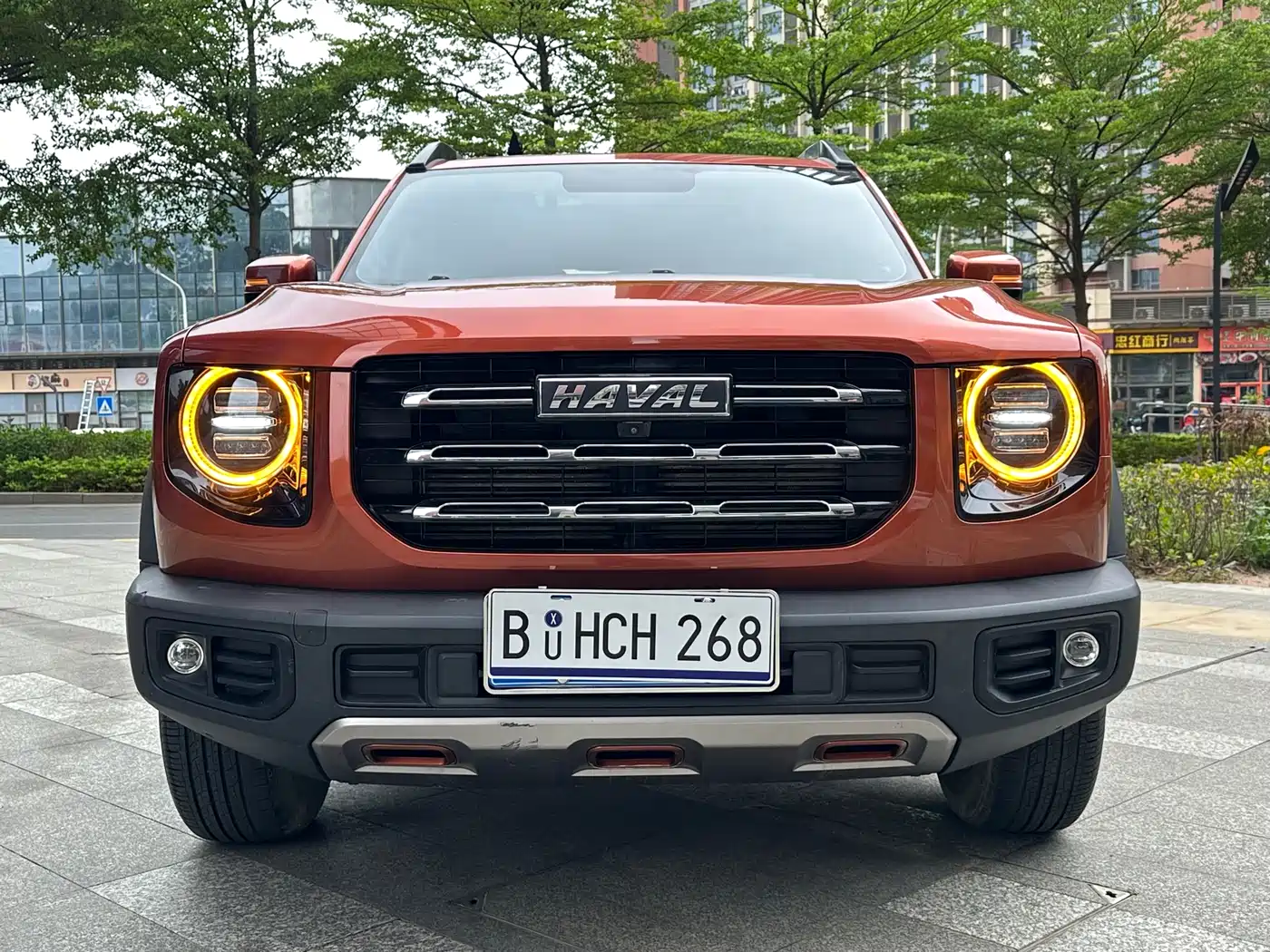 Haval Big Dog 2021 1.5T DCT 2WD Border Collie Edition фото 2