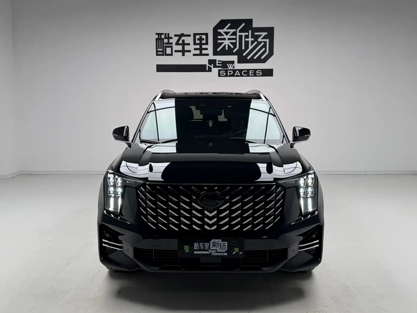 GAC Trumpchi Trumpchi GS8 2024 Navigator Series 2.0TGDI 2WD Luxury Smart Connect Edition фото 2