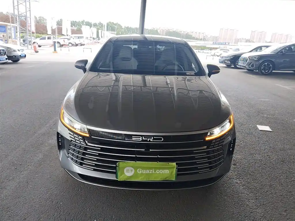 BYD Destroyer 05 2024 Glory Edition DM-i 55KM Luxury фото 3
