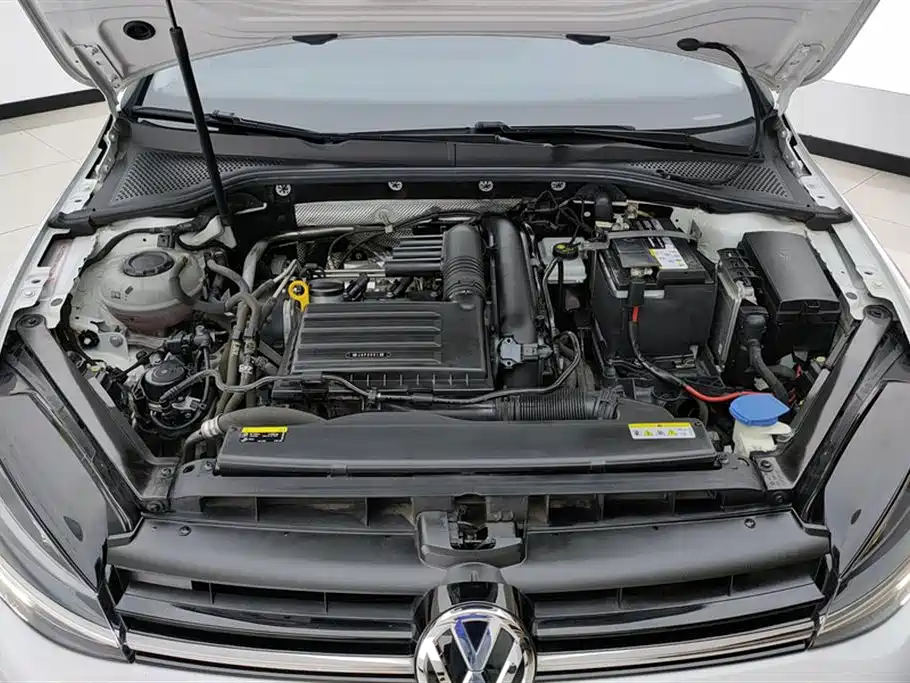 Volkswagen Golf 2020 Beloved Edition 280TSI DSG Comfort фото 10
