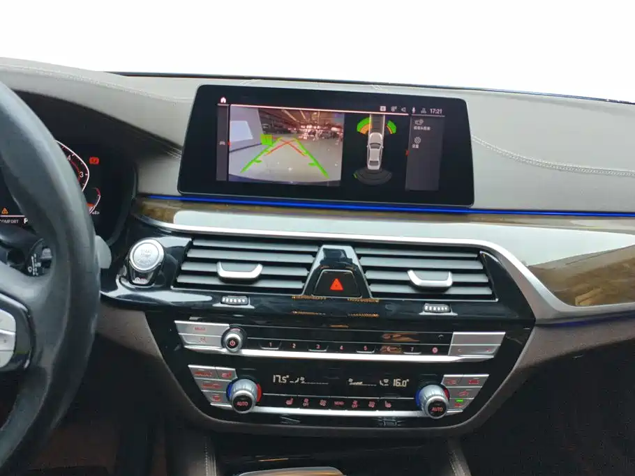 BMW 5 Series 2020 525Li Luxury Package фото 13