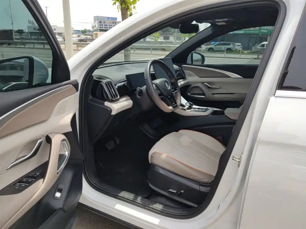 BYD Song Pro New Energy 2023 Champion Edition DM-i 110KM Excellence фото 16