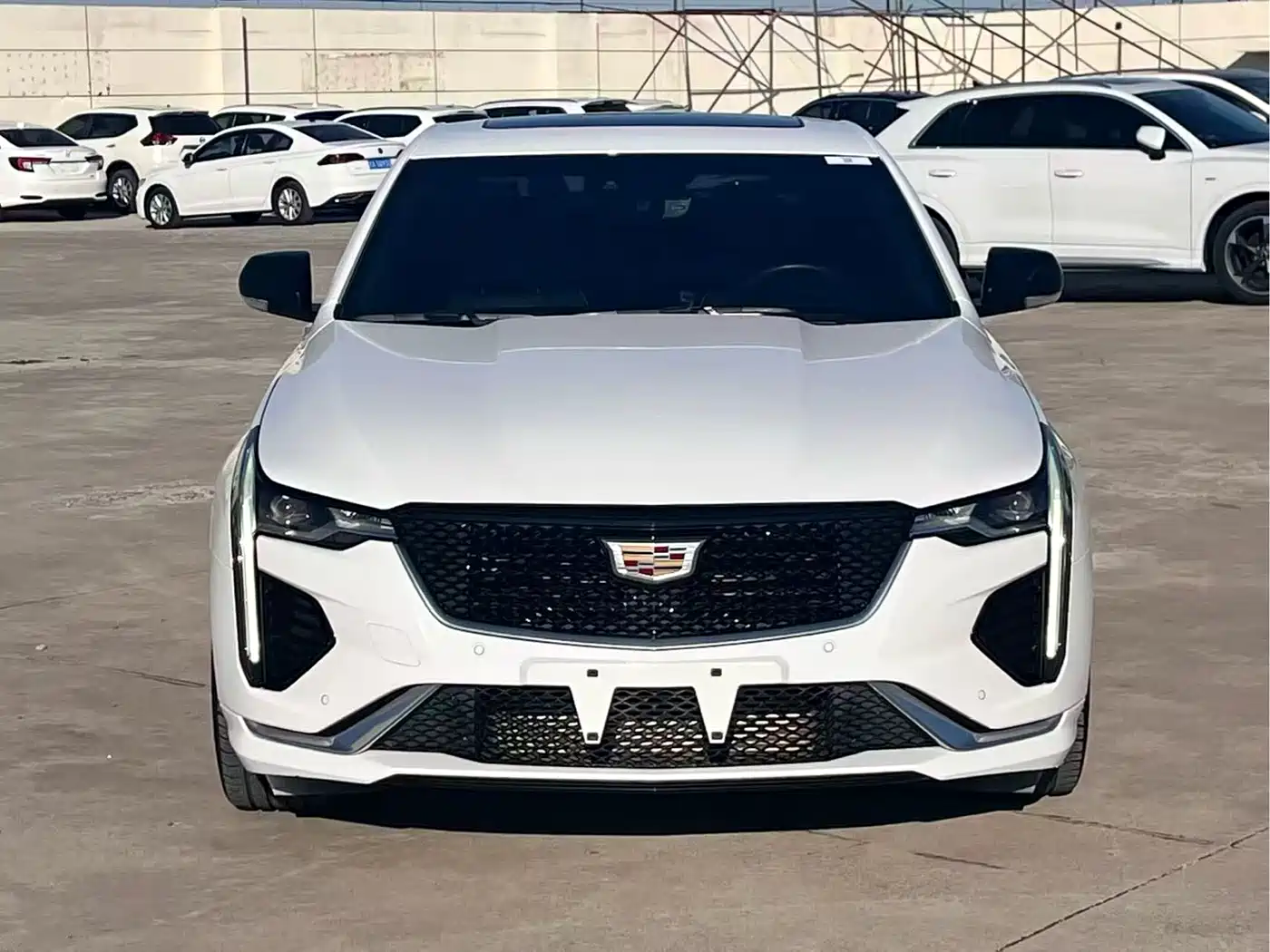 Cadillac CT4 2020 28T Elite фото 2