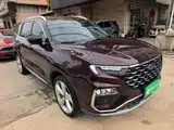 صورة 4 - Ford Territory