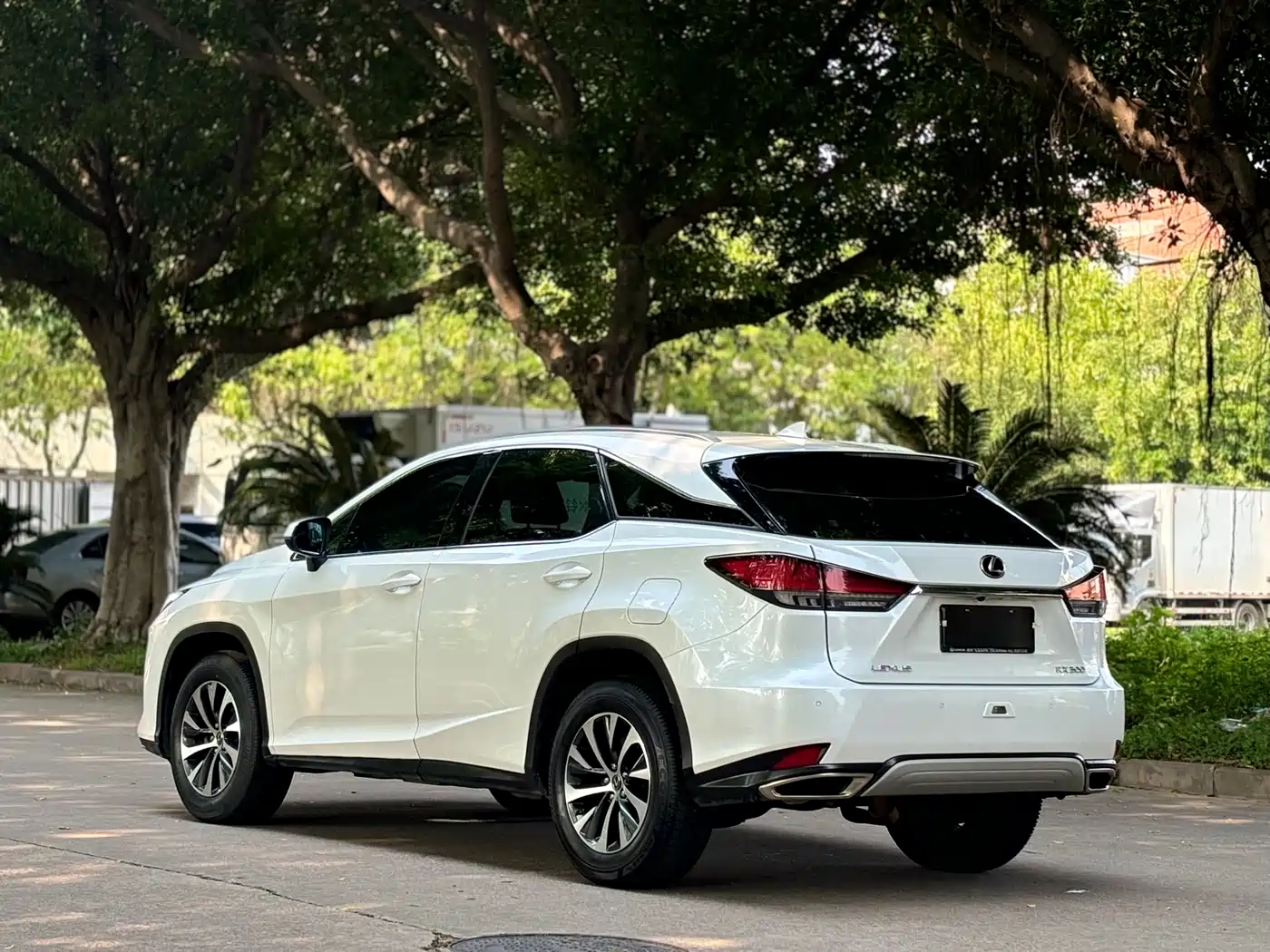 LEXUS RX
