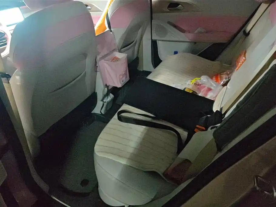 GEELY GEOMETRY E FIREFLY