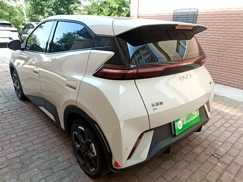 BYD Seagull 2024 Glory Edition 305km Freedom Edition фото 5