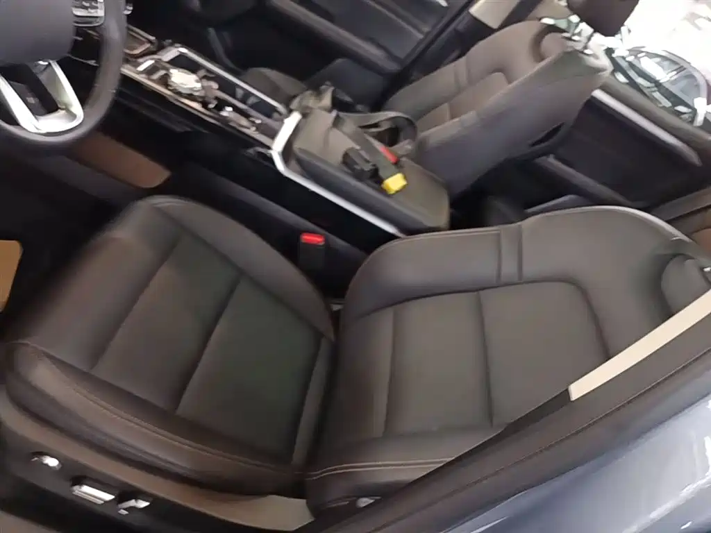Haval Big Dog 2021 2.0T DCT 4WD Chinese Rural Dog Edition фото 15