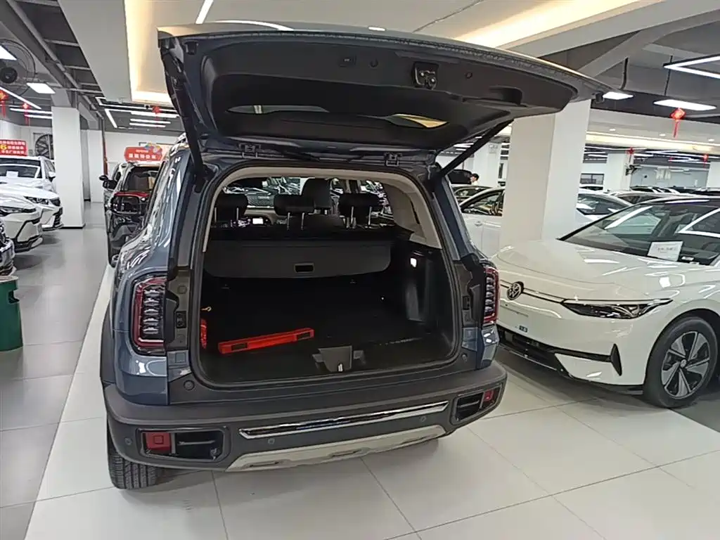 Haval Big Dog 2021 2.0T DCT 4WD Chinese Rural Dog Edition фото 19