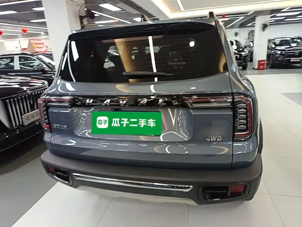 Haval Big Dog 2021 2.0T DCT 4WD Chinese Rural Dog Edition фото 6