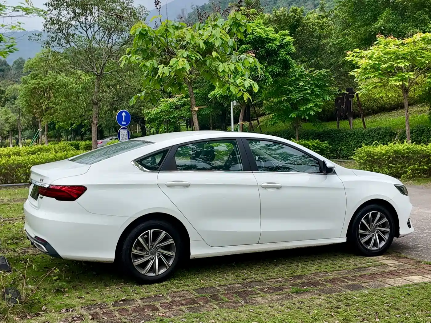 Фото 6 - Geely Binrui